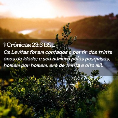 Picture 02 - 1 Crônicas 23:3 BSL - Os Levitas foram contados a partir dos trinta - Bible Verse Picture