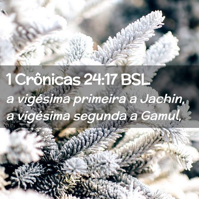 Picture 02 - 1 Crônicas 24:17 BSL - a vigésima primeira a Jachin, a vigésima - Bible Verse Picture