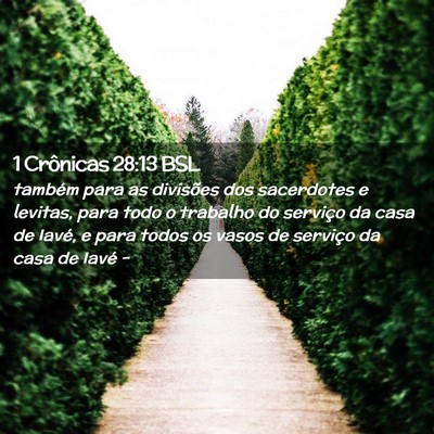 Picture 02 - 1 Crônicas 28:13 BSL - também para as divisões dos sacerdotes e - Bible Verse Picture