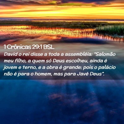Picture 02 - 1 Crônicas 29:1 BSL - David o rei disse a toda a assembléia: - Bible Verse Picture