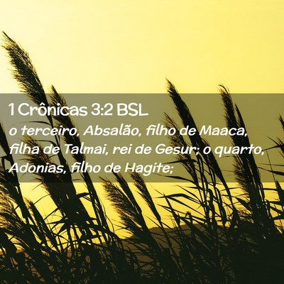 Picture 02 - 1 Crônicas 3:2 BSL - o terceiro, Absalão, filho de Maaca, filha de - Bible Verse Picture
