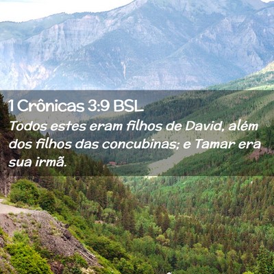Picture 02 - 1 Crônicas 3:9 BSL - Todos estes eram filhos de David, além dos - Bible Verse Picture