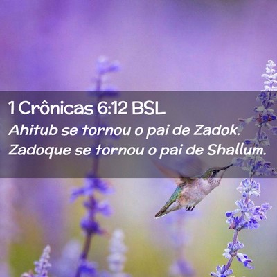 Picture 02 - 1 Crônicas 6:12 BSL - Ahitub se tornou o pai de Zadok. Zadoque se - Bible Verse Picture