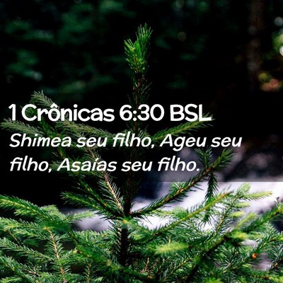 Picture 02 - 1 Crônicas 6:30 BSL - Shimea seu filho, Ageu seu filho, Asaías seu - Bible Verse Picture