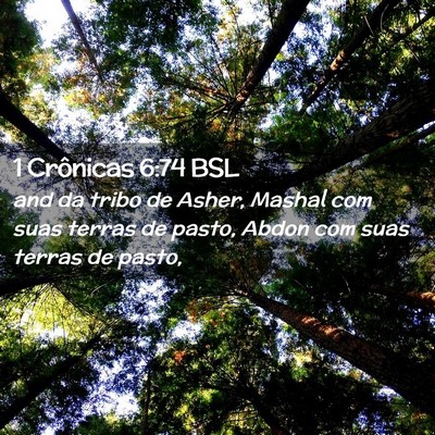 Picture 02 - 1 Crônicas 6:74 BSL - and da tribo de Asher, Mashal com suas terras de - Bible Verse Picture