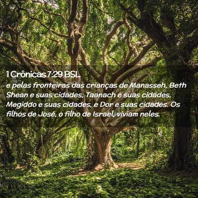 Picture 02 - 1 Crônicas 7:29 BSL - e pelas fronteiras das crianças de Manasseh, - Bible Verse Picture