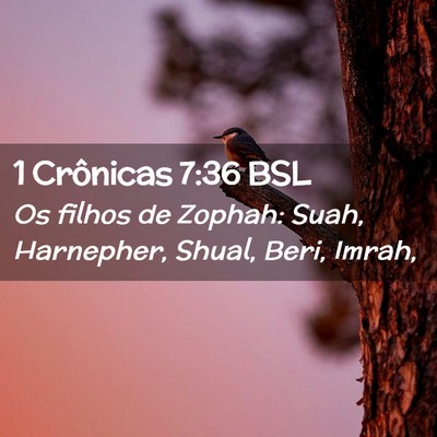 Picture 02 - 1 Crônicas 7:36 BSL - Os filhos de Zophah: Suah, Harnepher, Shual, - Bible Verse Picture