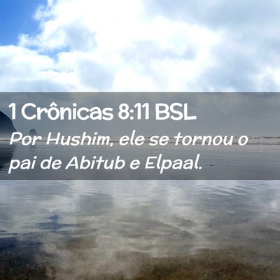 Picture 02 - 1 Crônicas 8:11 BSL - Por Hushim, ele se tornou o pai de Abitub e - Bible Verse Picture