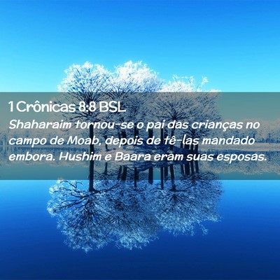 Picture 02 - 1 Crônicas 8:8 BSL - Shaharaim tornou-se o pai das crianças no campo - Bible Verse Picture