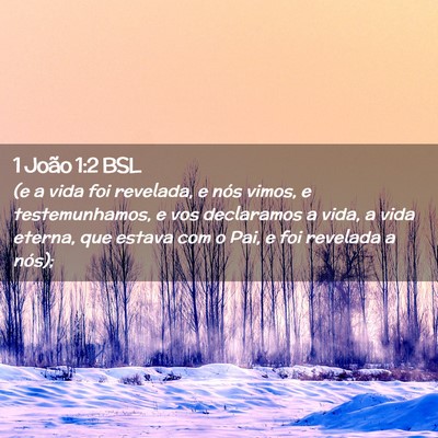 Picture 02 - 1 João 1:2 BSL - (e a vida foi revelada, e nós vimos, e - Bible Verse Picture