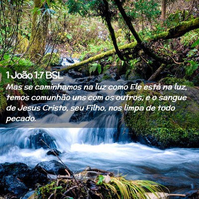 Picture 02 - 1 João 1:7 BSL - Mas se caminhamos na luz como Ele está na luz, - Bible Verse Picture