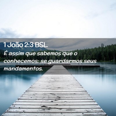Picture 02 - 1 João 2:3 BSL - É assim que sabemos que o conhecemos: se - Bible Verse Picture