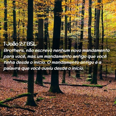 Picture 02 - 1 João 2:7 BSL - Brothers, não escrevo nenhum novo mandamento - Bible Verse Picture