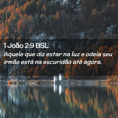 Picture 02 - 1 João 2:9 BSL - Aquele que diz estar na luz e odeia seu irmão - Bible Verse Picture