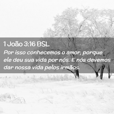 Picture 02 - 1 João 3:16 BSL - Por isso conhecemos o amor, porque ele deu sua - Bible Verse Picture