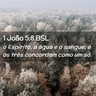 Picture 02 - 1 João 5:8 BSL - o Espírito, a água e o sangue; e os três - Bible Verse Picture