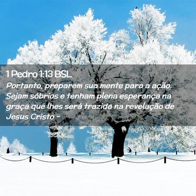 Picture 02 - 1 Pedro 1:13 BSL - Portanto, preparem sua mente para a ação. Sejam - Bible Verse Picture