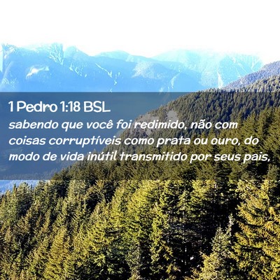 Picture 02 - 1 Pedro 1:18 BSL - sabendo que você foi redimido, não com coisas - Bible Verse Picture