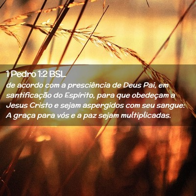 Picture 02 - 1 Pedro 1:2 BSL - de acordo com a presciência de Deus Pai, em - Bible Verse Picture
