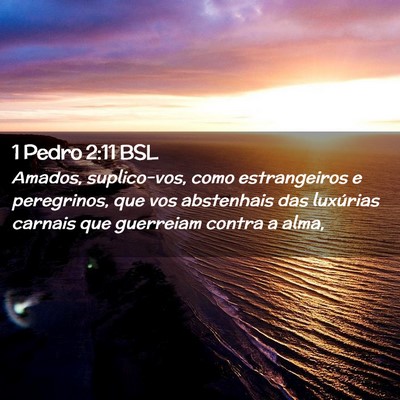 Picture 02 - 1 Pedro 2:11 BSL - Amados, suplico-vos, como estrangeiros e - Bible Verse Picture