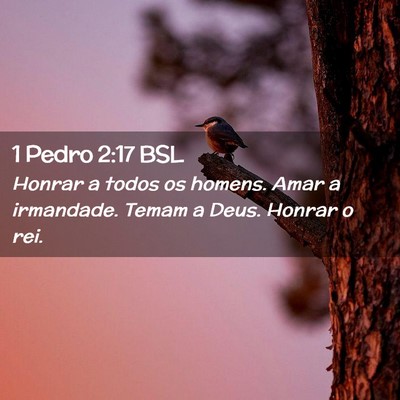 Picture 02 - 1 Pedro 2:17 BSL - Honrar a todos os homens. Amar a irmandade. Temam - Bible Verse Picture