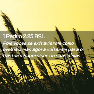 Picture 02 - 1 Pedro 2:25 BSL - Pois vocês se extraviaram como ovelhas; mas - Bible Verse Picture