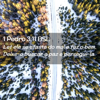 Picture 02 - 1 Pedro 3:11 BSL - Let ele se afasta do mal e faz o bem. Deixe-o - Bible Verse Picture