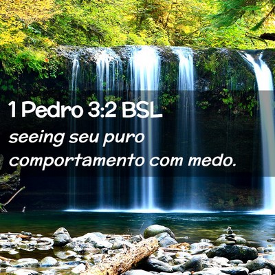 Picture 02 - 1 Pedro 3:2 BSL - seeing seu puro comportamento com - Bible Verse Picture