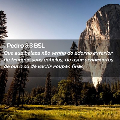 Picture 02 - 1 Pedro 3:3 BSL - Que sua beleza não venha do adorno exterior de - Bible Verse Picture