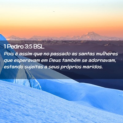 Picture 02 - 1 Pedro 3:5 BSL - Pois é assim que no passado as santas mulheres - Bible Verse Picture