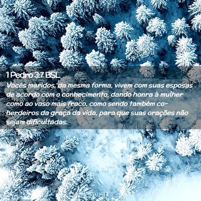 Picture 02 - 1 Pedro 3:7 BSL - Vocês maridos, da mesma forma, vivem com suas - Bible Verse Picture