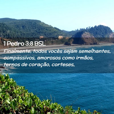 Picture 02 - 1 Pedro 3:8 BSL - Finalmente, todos vocês sejam semelhantes, - Bible Verse Picture