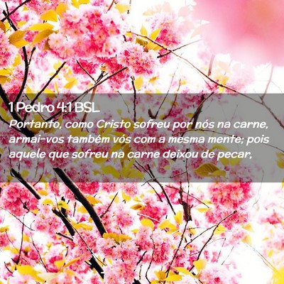Picture 02 - 1 Pedro 4:1 BSL - Portanto, como Cristo sofreu por nós na carne, - Bible Verse Picture