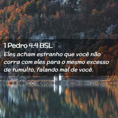 Picture 02 - 1 Pedro 4:4 BSL - Eles acham estranho que você não corra com eles - Bible Verse Picture