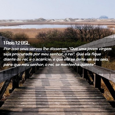 Picture 02 - 1 Reis 1:2 BSL - Por isso seus servos lhe disseram: “Que uma - Bible Verse Picture