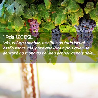 Picture 02 - 1 Reis 1:20 BSL - Vós, rei meu senhor, os olhos de todo Israel - Bible Verse Picture