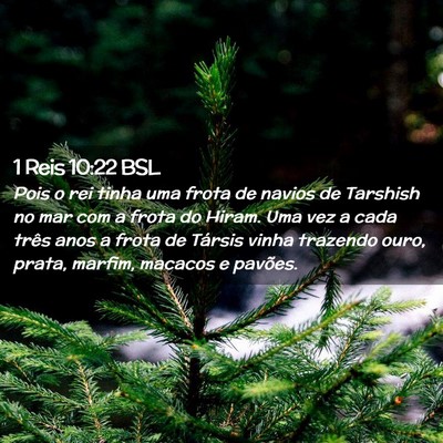 Picture 02 - 1 Reis 10:22 BSL - Pois o rei tinha uma frota de navios de Tarshish - Bible Verse Picture