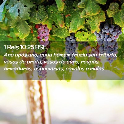 Picture 02 - 1 Reis 10:25 BSL - Ano após ano, cada homem trazia seu tributo, - Bible Verse Picture