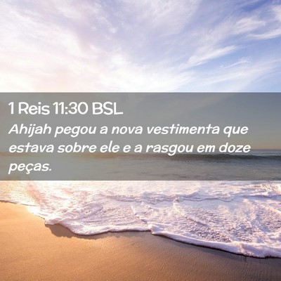 Picture 02 - 1 Reis 11:30 BSL - Ahijah pegou a nova vestimenta que estava sobre - Bible Verse Picture