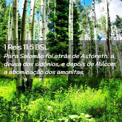 Picture 02 - 1 Reis 11:5 BSL - Para Salomão foi atrás de Astoreth, a deusa dos - Bible Verse Picture
