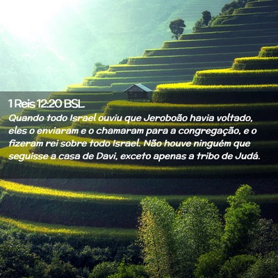 Picture 02 - 1 Reis 12:20 BSL - Quando todo Israel ouviu que Jeroboão havia - Bible Verse Picture