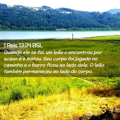 Picture 02 - 1 Reis 13:24 BSL - Quando ele se foi, um leão o encontrou por acaso - Bible Verse Picture