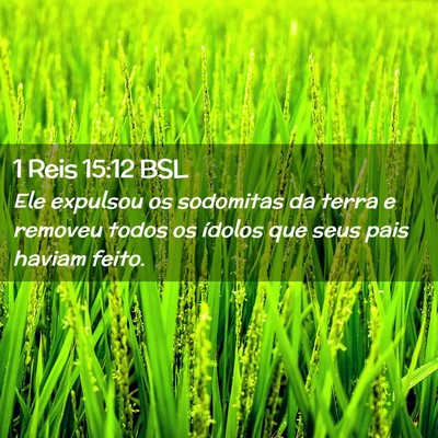 Picture 02 - 1 Reis 15:12 BSL - Ele expulsou os sodomitas da terra e removeu - Bible Verse Picture