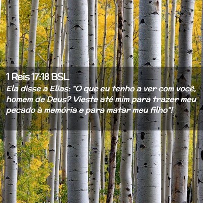 Picture 02 - 1 Reis 17:18 BSL - Ela disse a Elias: “O que eu tenho a ver com - Bible Verse Picture