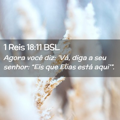 Picture 02 - 1 Reis 18:11 BSL - Agora você diz: 'Vá, diga a seu senhor: “Eis - Bible Verse Picture