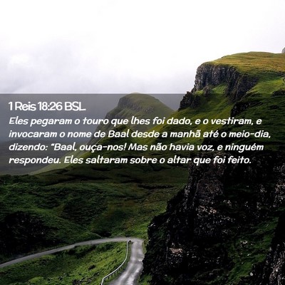 Picture 02 - 1 Reis 18:26 BSL - Eles pegaram o touro que lhes foi dado, e o - Bible Verse Picture