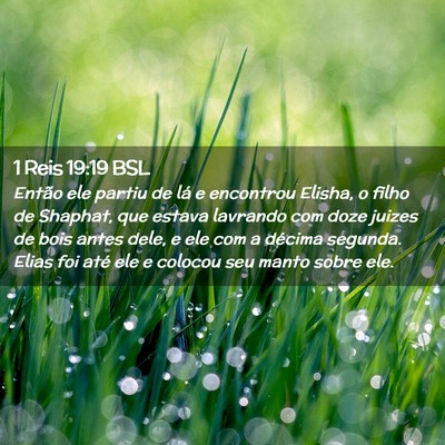 Picture 02 - 1 Reis 19:19 BSL - Então ele partiu de lá e encontrou Elisha, o - Bible Verse Picture