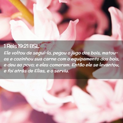 Picture 02 - 1 Reis 19:21 BSL - Ele voltou de segui-lo, pegou o jugo dos bois, - Bible Verse Picture