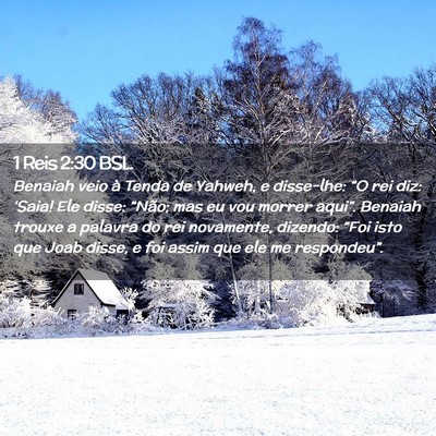 Picture 02 - 1 Reis 2:30 BSL - Benaiah veio à Tenda de Yahweh, e disse-lhe: - Bible Verse Picture