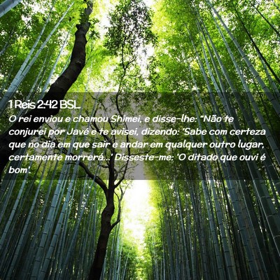 Picture 02 - 1 Reis 2:42 BSL - O rei enviou e chamou Shimei, e disse-lhe: - Bible Verse Picture